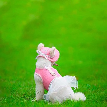 Панама для собак MaruPet - Dog panama hat pink with bow, L