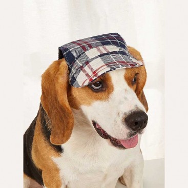 Кепка для собак Tail Up - Plaid Pet Cap, XL