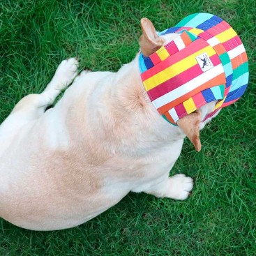 Кепка для собак разноцветная Tail Up - Pet Cap, S