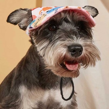 Кепка для собак Tail Up - Cartoon Pet Cap, L