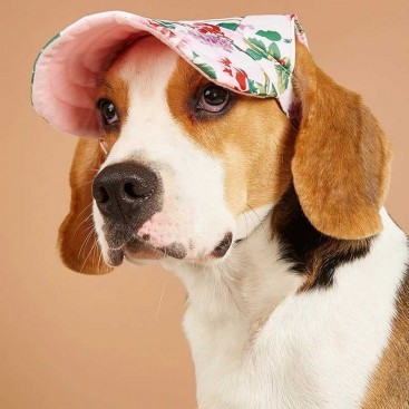 Кепка для собак Tail Up - Flower Print Pet Cap, L