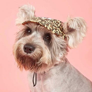 Кепка для собак Tail Up - Leopard Pet Cap, L