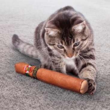 Іграшка для котів з м'ятою у вигляді сигари Kong - Better Buzz Cigar
