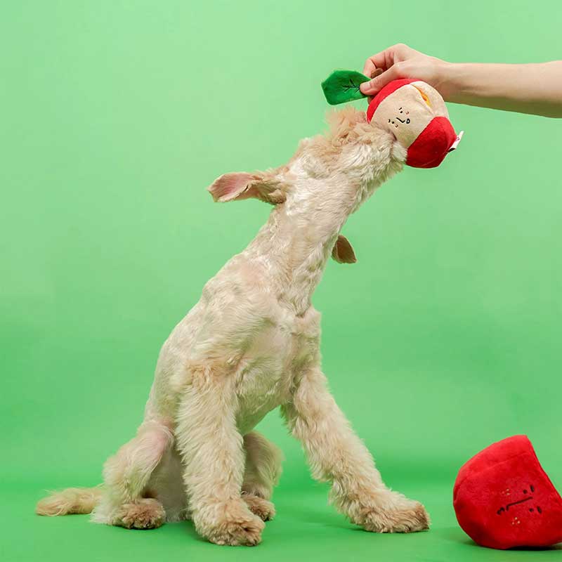 Интерактивная игрушка для лакомства thefurryfolks - Nosework Toy Apple