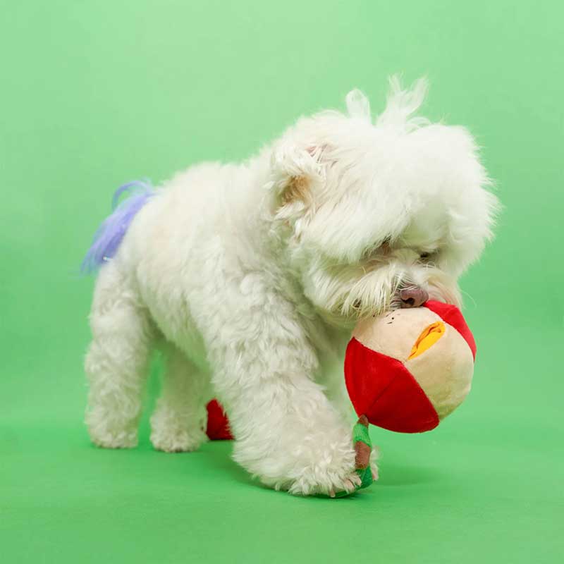 Интерактивная игрушка для лакомства thefurryfolks - Nosework Toy Apple
