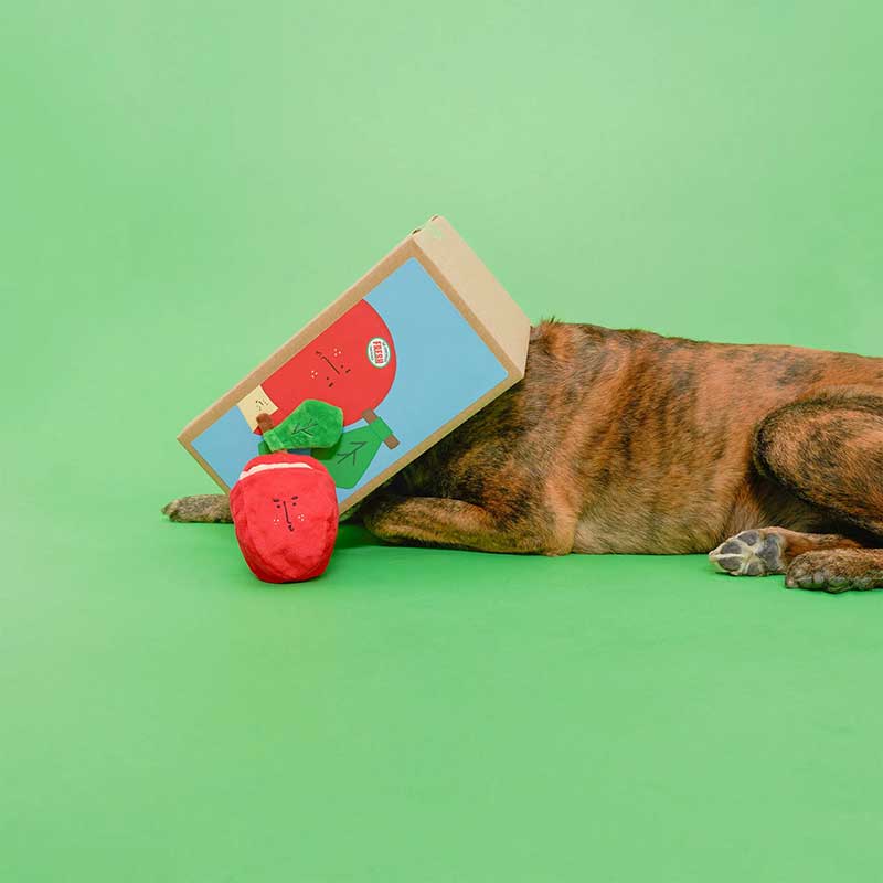 Интерактивная игрушка для лакомства thefurryfolks - Nosework Toy Apple