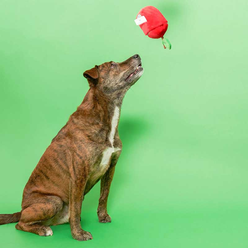 Интерактивная игрушка для лакомства thefurryfolks - Nosework Toy Apple