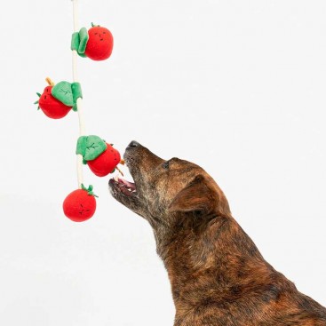 Інтерактивна іграшка для ласощів thefurryfolks - Nose Work&Tug Toy Cherry Tomato
