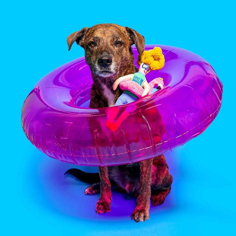 Интерактивная игрушка для лакомств thefurryfolks - Hooman Nosework Toy Flamingo