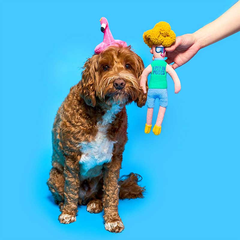 Интерактивная игрушка для лакомств thefurryfolks - Hooman Nosework Toy Flamingo