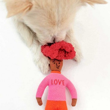 Інтерактивна іграшка для ласощів thefurryfolks - Hooman Nose Work Toy Love