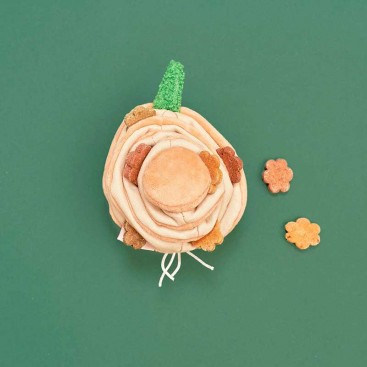 Інтерактивна іграшка для ласощів thefurryfolks - Nosework Toy Yellow Onion
