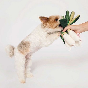 Інтерактивна іграшка для ласощів thefurryfolks - Nosework Toy Green Onion
