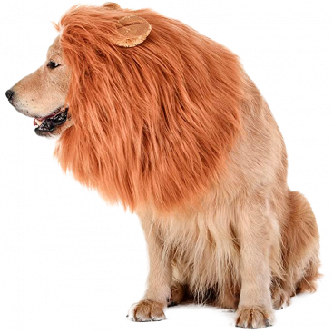 Грива льва для собак Tomsenn - Lion mane