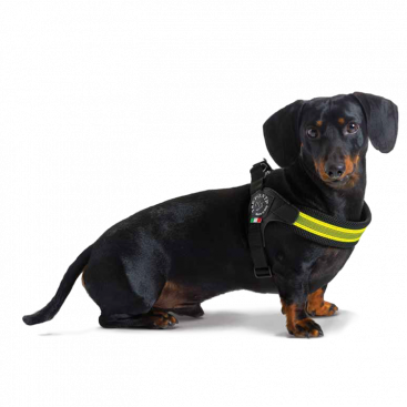 Мягкая сетчатая шлея Tre Ponti - FLUO POP Adjustable, 1.5 (3-4 kg)