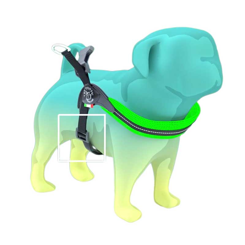 Мягкая сетчатая шлейка Tre Ponti - Easy Fit Neon Mesh с регулировкой - Green, размер 3