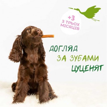 Натуральні ласощі для цуценят невеликих порід Whimzees - Puppy XS/S, (1шт)