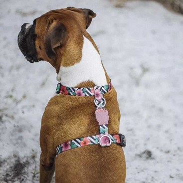 Шлея для собак Zee.Dog - Mahalo H-harness, L