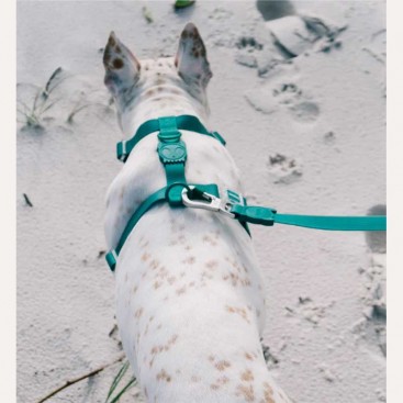 Повідець для собак Zee.Dog - NeoPro Amazonia, S