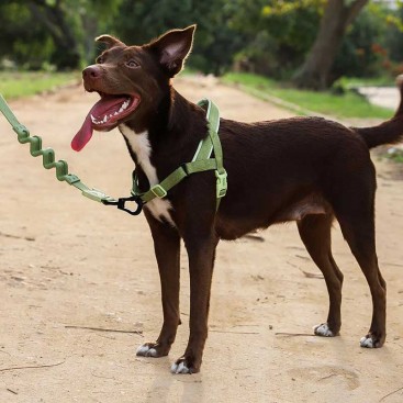 Шлея для собак Zee.Dog - Moss Softer Walk Harness, L