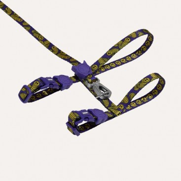 Набор шлей и поводок для кошек Zee.Cat - LORDS OF ZEE.TOWN ZMILEY HARNESS + LEASH SET