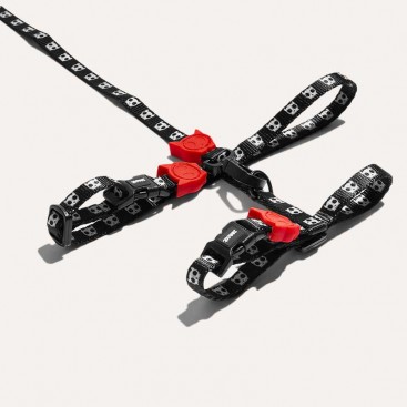Набор шлей и поводок для кошек Zee.Cat-SKULL 2.0 HARNESS + LEASH SET