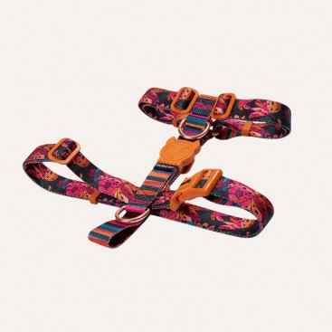 Шлея для собак Zee.Dog - Selva H-Harness, L