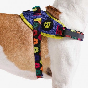 Шлея для собак Zee.Dog - Samba FlyHarness, розмір 2