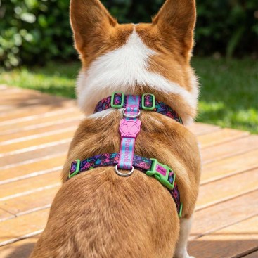 Шлея для собак Zee.Dog - Aerobic H-Harness, L