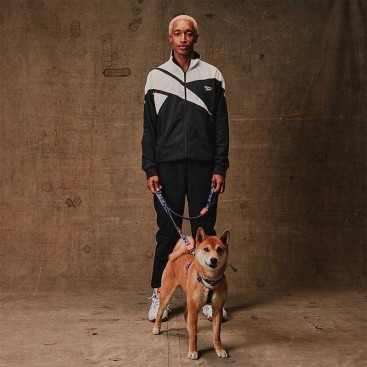 Шлея для собак Zee.Dog - Court H-Harness, XS