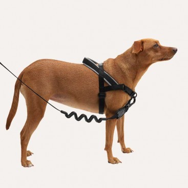 Шлея для собак Zee.Dog - Gotham Softer Walk Harness, L