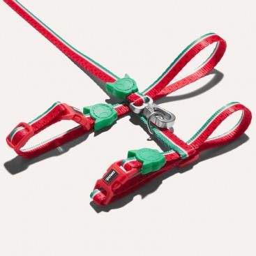 Набор шлей и поводок для кошек Zee.Cat - LOLA HARNESS + LEASH SET