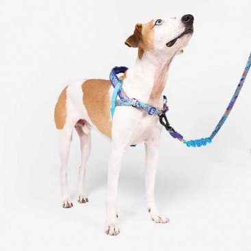 Шлея для собак Zee.Dog - Glitch Error #404 Softer Walk, L
