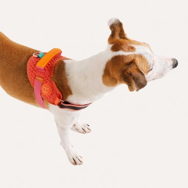 Шлея для собак Zee.Dog - Gazelle Flyharness, розмір 1