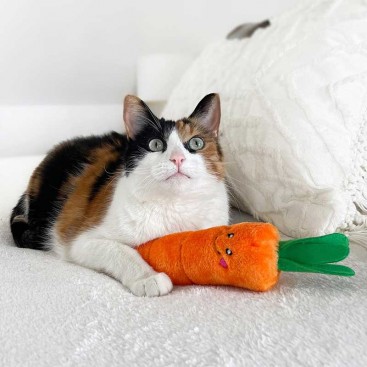 Іграшка для котів з мʼятою морква ZippyClaws - Kickerz Carrot