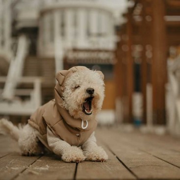 Комплект жилетка та шолом Puhla Mimi.schell - Beige, S(ДС: 23-25; ОГ: 22-30)