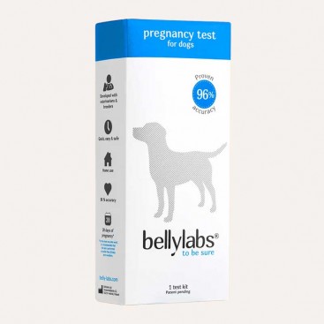 Тест на беременность для собак Bellylabs - Pregnancy Test For Dogs