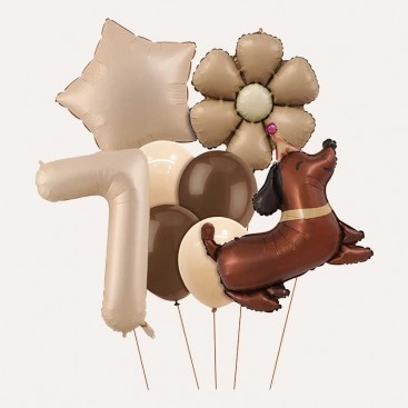 Набор из 10 3D шаров на седьмой день рождения собачку Fiesta - Brown Daisy Dog
