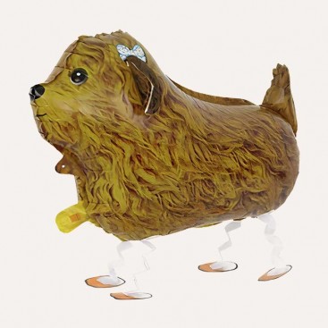 Повітряна кулька 3D на день народження песика Fiesta - 3D Teddy Dog