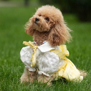 Платье ‘Belle’ Mimi.schell - Lemon, S (сп.25 см/ог28-32 см)