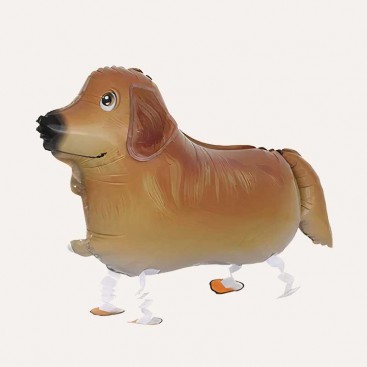 Повітряна кулька 3D на день народження песика Fiesta - 3D Golden Retriever