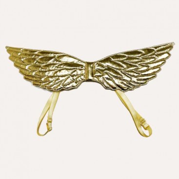 Крылышки Амура для собак - Cupid wings S