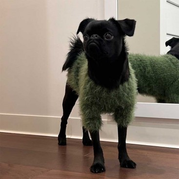 Свитер для собак Диско goodboy.swtrs - Green, XS