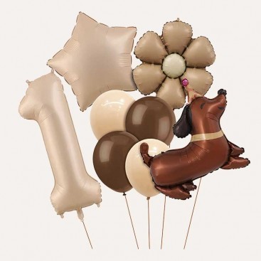 Набір з 10 3D кульок на перший день народження песика Fiesta - Brown Daisy Dog
