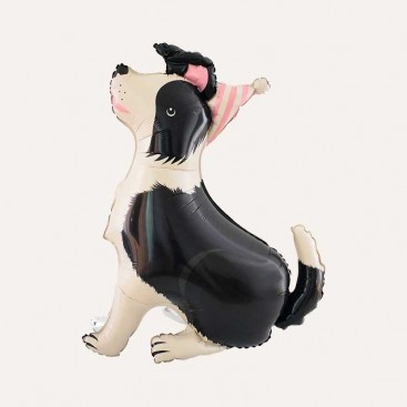 Повітряна кулька 3D на день народження песика Fiesta - Border collie