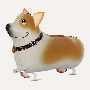 Повітряна кулька 3D на день народження песика Fiesta - 3D Corgi