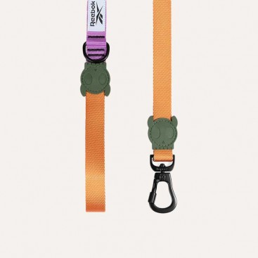 Поводок для собак Zee.Dog - Trekk, XS