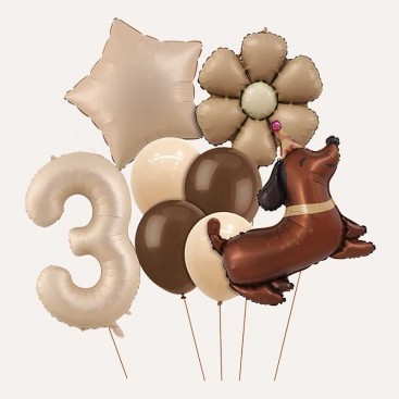 Набор из 10 3D шаров на третий день рождения собачку Fiesta - Brown Daisy Dog