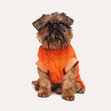 Шерстяной свитер для собак Montmorency - Grapefruit 21 см