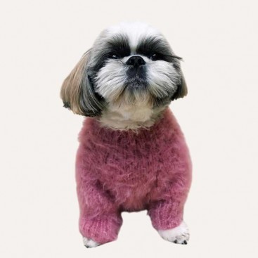 Свитер для собак Диско goodboy.swtrs - Pink, M